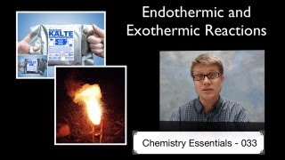 Endothermic and Exothermic Reactions [upl. by Armalda931]