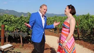 JeanCharles Boisset Interview  How did you get into this wine business [upl. by Nolyk]