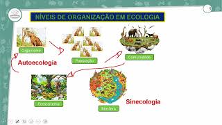 151  ECOLOGIA  BIOLOGIA  3º ANO EM  AULA 1512024 [upl. by Ymma]