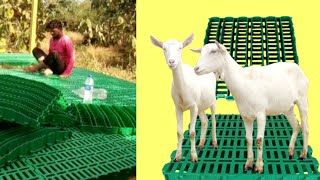 Goat Farm Flooring  PVC Pallets Plastic Slatted Floor for Goat amp Sheep Farming [upl. by Aicilaana]