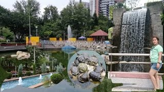 Chai Wan Park Hong Kong  Hong Kong Attractions  polchardz vlog [upl. by Gibun]