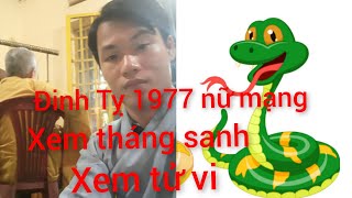 xem tháng sanh tuổi đinh Tỵ 1977 nữ mạng hieutubi3546 xemtuvi tuvihangngay [upl. by Geithner]