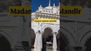 🚩 💓 Madan Mohan Mandir 🎪🚩 shortvideo whatsappstatus viralvideo youtubeshorts viralshorts [upl. by Alderman]