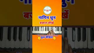 nagin dhun harmonium notes shosts [upl. by Adnilre523]