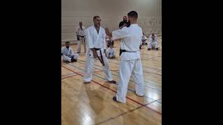 Lechi Kurbanov the Kyokushin Legend shinkyokushin karate tutorial shorts shortsvideo [upl. by Ridglea]