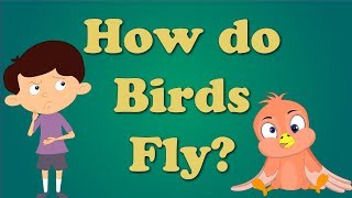 How do Birds Fly  aumsum kids science education children [upl. by Ninazan240]