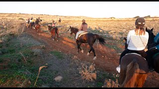 Horse Riding in Malta [upl. by Yeo455]