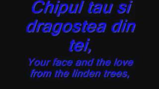 Dragostea Din Tei Lyrics and Translation360pflv [upl. by Obeded718]