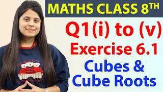 Q1i to v  Ex 61  Cubes amp Cube Roots  Maths Class 8th  Chapter 6 CBSE [upl. by Brown]