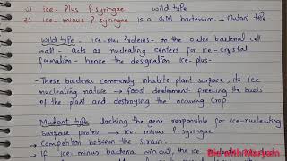 Pseudomonas syringae Ice plus strain and Ice minus strain [upl. by Leonanie]