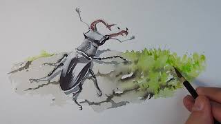 Stag Beetle  Watercolour Timelapse [upl. by Nikita]