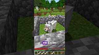 Como NOMEAR os ANIMAIS no MINECRAFT minecraft short [upl. by Eerased]