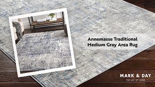 Annemasse Traditional Medium Gray Area Rug [upl. by Melissa]