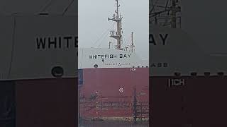 Whitefish Bay is sailing empty on the river in Michigan [upl. by Lleruj]