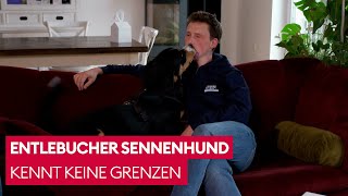 Bruno maßregelt seine Besitzer  Der Hundeprofi [upl. by Eitac]