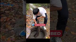 Chinese ke log 🪵 road mentain funny shortsfeed vairalvideo shorts shorts subscribe shorts [upl. by Klusek]