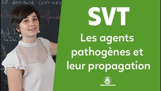 Les agents pathogènes et leur propagation  SVT  Seconde  Les Bons Profs [upl. by Rivera]