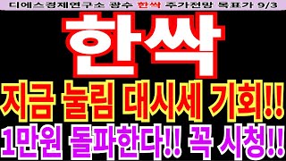 한싹 주가전망 지금 눌림 대시세 기회 1만원 돌파한다 꼭 시청 feat 디에스경제연구소 광수 목표가 [upl. by Yborian]