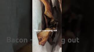 Make a bacon tent while you finish the eggs [upl. by Enawtna]