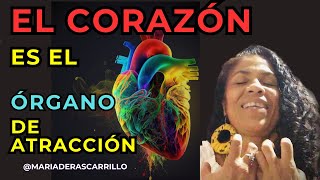 EL CORAZÓN ES EL ÓRGANO DE ATRACCIÓN  MANIFIESTA EN 3 DÍAS [upl. by Hnah]