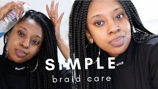 My Simple Braid care routine  Reduce Frizz Protective Style [upl. by Adelina829]