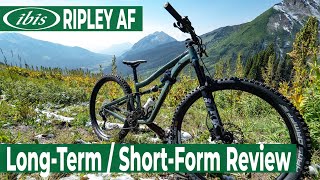 Ibis Ripley AF LongTerm  ShortForm Review  BLISTER [upl. by Pardner]