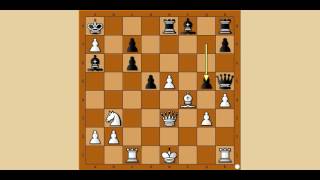 Zanimljivi šahovski dueli  TIMMAN vs KARPOV  Škotska partija  860 [upl. by Atilahs]