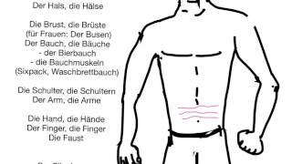 Learn German vocabulary Human body parts [upl. by Ayatahs]