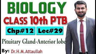 Pituitary gland anterior lobe  Chapter  12  Biology Class 10th  Lec 29 [upl. by Loux]