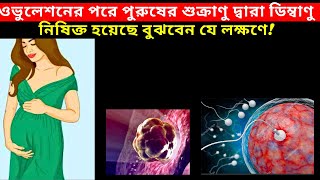 ওভুলেশনের পরে ডিম্বাণু পুরুষের শুক্রাণু দ্বারা নিষিক্ত হয়েছে বুঝবেন মাত্র যে ২টি লক্ষণে [upl. by Aldus434]