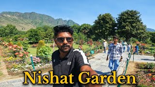 Exploring Srinagar with Nishant Gurdan  MUST WATCH Kashmir Travel Vlog [upl. by Dominique]