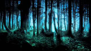 Frederic Chopin  Mysterious Forest [upl. by Nannarb]