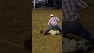 calf roping and tying rodeo cowboy shorts [upl. by Rochella]