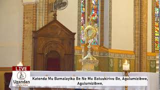 ADORATION AND BENEDICTION OF THE BLESSED SACRAMENT [upl. by Aimerej]