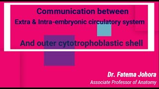 Communication II Intra amp extra embryonic circulatory system II Outer cytotrophoblastic shell Bonus [upl. by Bartolemo652]