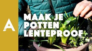 Bloempotten lenteklaar maken I Een groener thuis 12 I Angelo Dorny [upl. by Fields]