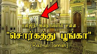 நபிஸல் வீடு  சொர்கத்து பூங்கா  மிம்பர்  தொழுதஇடம்  Riaz ul Jannah madinahalmunawwarah மதினா [upl. by Takara]