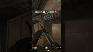 Dominating low elo lobbies cs2 cs2 csgo clips [upl. by Laertnom]