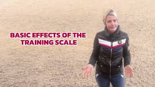 Discover How To Use The Dressage Training Scale amp Rhythm In Your Training Routine [upl. by Ahsinod918]