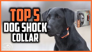 ✅Best dog shock collar in 2024 [upl. by Christabella]