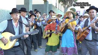 Romeria de Caserones 2017 Telde [upl. by Melosa]