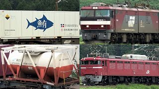 【ENG SUB】東北本線貨物列車と臨時配給列車・たくさん撮影２７本 Japanese Freight Train [upl. by Husha]