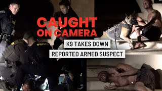 CAUGHT ON CAMERA K9 Takes Down Suspect [upl. by Saylor]