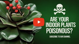 Are Your Indoor Plants Poisonous 🌿 [upl. by Corenda812]