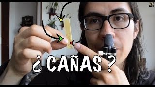 Qué cañas usar en el clarinete  Como cuidar las cañas [upl. by Gizela330]