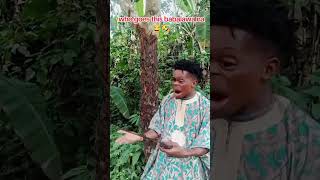 Babalawo go collect oo funnyvideo comedy youtubeshorts [upl. by Brest]