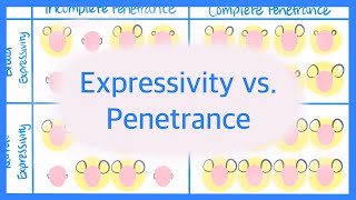 Expressivity vs Penetrance [upl. by Arekahs169]