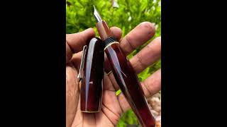 Delmoon vip urushi fountain pen [upl. by Atteynod]