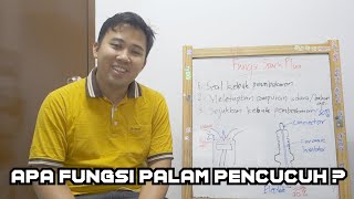 Apa Fungsi Palam Pencucuh Spark Plug [upl. by Enar]