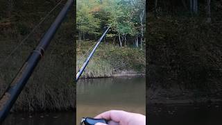 Float fishing skein for king salmon in the river salmon skein bobberdown [upl. by Atnohsal524]